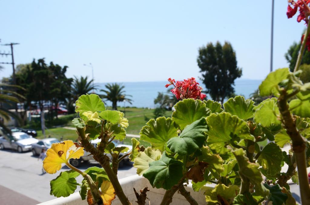 Hotel Cavo D' Oro Nea Moudania Esterno foto